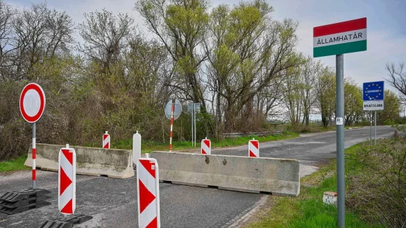 Der Ausbruch der Maul- und Klauenseuche in Ungarn und der Slowakei sorgt in Deutschland f&uuml;r Unsicherheit (Archivbild). - &copy; Csaba Krizsan/MTI/AP/dpa