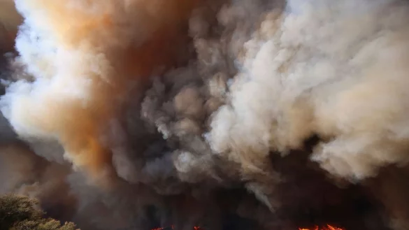 Ein Großbrand in Südkalifornien schlägt Tausende Anwohner in die Flucht. - © Ethan Swope/FR171736 AP/AP/dpa