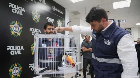 Die Tiere wurden aus ihrem nat&uuml;rlichen Lebensraum entwendet. - &copy; Fabiano Veneza/SEAS RJ/dpa