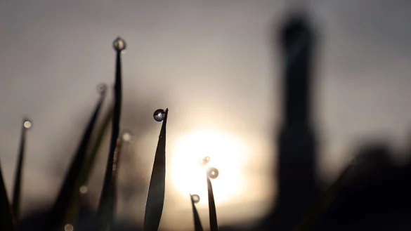 Ein letzter schöner Tag ist heute noch drin, bevor das Wetter etwas unbeständiger wird. - © Karl-Josef Hildenbrand/dpa