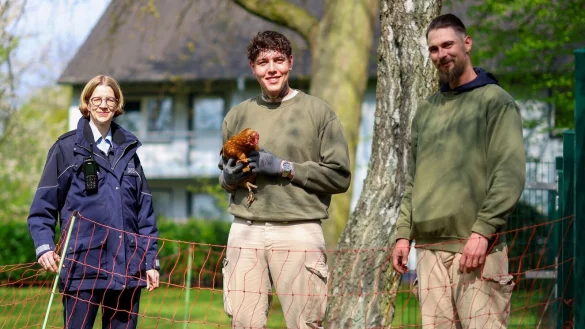 Win-win: Hühner und Häftlinge profitieren vom JVA-Angebot - © Christoph Reichwein/dpa