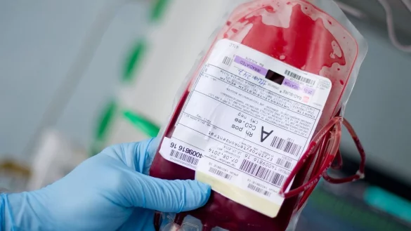 Blutspenden werden in Deutschland in Einzelbestandteile zerlegt (Archivbild). - &copy; Daniel Bockwoldt/dpa