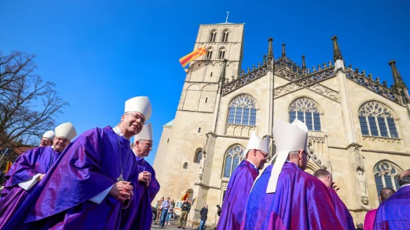 Das Bistum Münster ist jetzt das größte in Deutschland (Archivbild). - © Christoph Reichwein/dpa