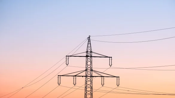 Über Netzentgelte wird unter anderem der teure Ausbau der Stromnetze finanziert. (Archivbild) - © Silas Stein/dpa