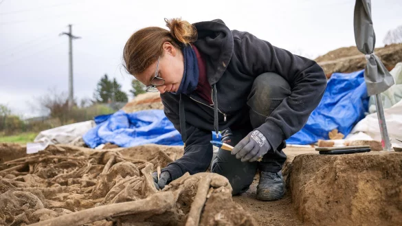 Alle untersuchten Skelette weisen Verletzungen auf. (Foto: Handout) - &copy; Reiner Riedler/Wien Museum/dpa