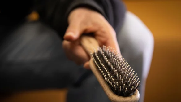 Haare sollte man regelmäßig aus der Bürste entfernen - mit einem Trick soll es ganz einfach gehen. - © Christin Klose/dpa-tmn