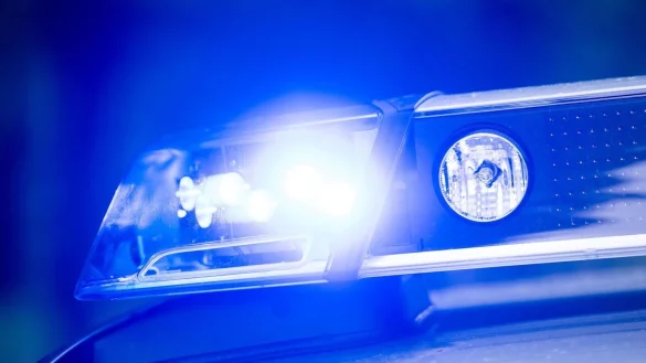 Bei der Suche nach vermissten Kindern hat die Polizei in den Niederlanden mehrere Leichen entdeckt. (Symbolbild) - © Lino Mirgeler/dpa