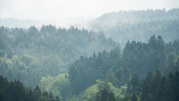 Zur Wochenmitte hat das verregnete Wetter voraussichtlich ein Ende. - &copy; Silas Stein/dpa