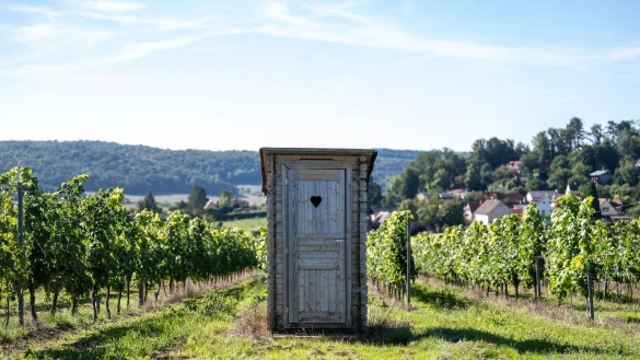 Wasser oder Toilettenpapier? Bei dieser Frage scheiden sich nicht nur wissenschaftlich die Geister. (Illustration) - © Hendrik Schmidt/dpa