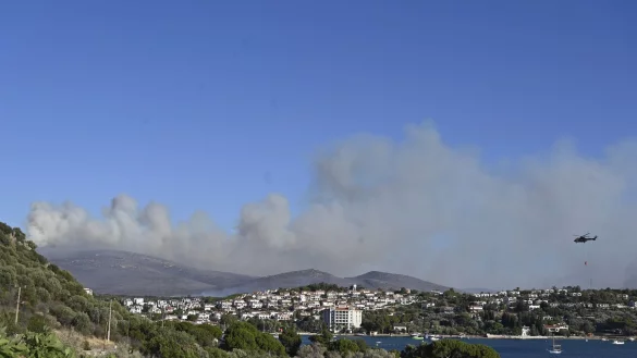 Das auf einem Acker ausgebrochene Feuer soll sich durch starken Wind auf umliegende B&uuml;sche und W&auml;lder ausgebreitet haben. - &copy; Anne Pollmann/dpa