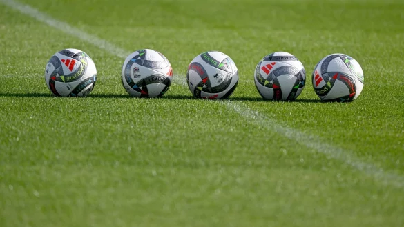 Preußen Münster verlässt Plattform X. Nun ist der Club bei Bluesky. - © Armin Weigel/dpa