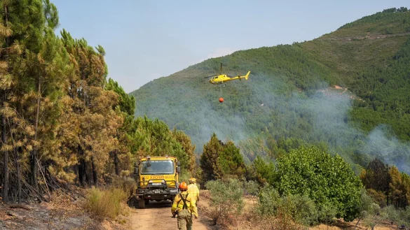 In Las Hurdes in der spanischen Region C&aacute;ceres konnte ein gr&ouml;&szlig;erer Waldbrand nach mehreren Tagen unter Kontrolle gebracht werden. - &copy; Carlos Criado/EUROPA PRESS/dpa
