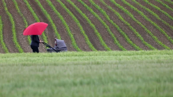 Am Samstag könnten sich bereits wieder einige starke Gewitter über der Mitte Deutschlands bilden. - © Thomas Warnack/dpa