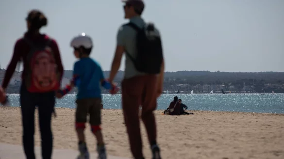 An manchen Stränden Mallorcas hat der Sturm vom Wochenende massenhaft Segelquallen angeschwemmt. Für Menschen sind sie harmlos. Aber sie stinken. (Symbolbild) - © Clara Margais/dpa