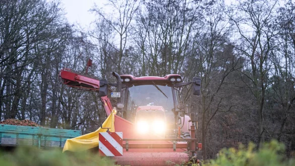 Von einem Landwirt werden die letzten Karotten mit einem Möhrenroder vom Feld geerntet. - © Guido Kirchner/dpa