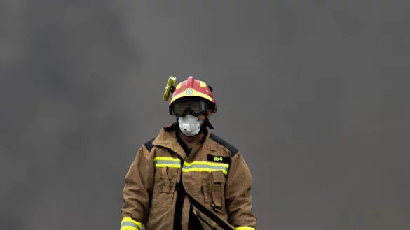 Bei einem riesigen Brand landwirtschaftlicher Flächen sind in Spanien zwei Menschen ums Leben gekommen. (Symbolbild) - © Jesús Prieto/Europa Press/dpa