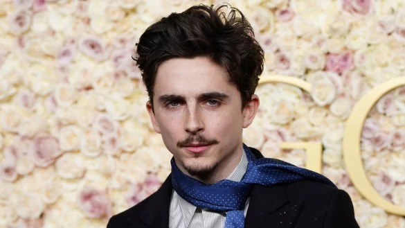 Timothée Chalamet gehört zu den Stars, die in Berlin erwartet werden (Archivbild). - © Jordan Strauss/Invision/AP/dpa