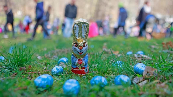Ostereiersuche Erwachsene entdecken nach Beobachtung von Forschern von Kindern gefeierte Feste wie Ostern auch f&uuml;r sich. - &copy; Matthias Bein/dpa