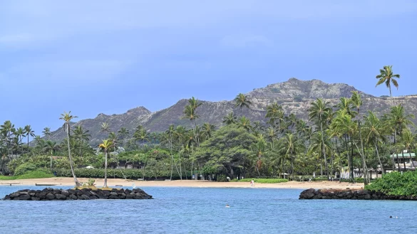 Laut Tourismusbehörde kamen 2023 rund zehn Millionen Besucher nach Hawaii. (Archiv) - © Soeren Stache/dpa
