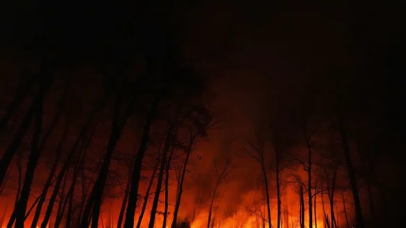 Seit dem Ausbruch des Waldbrandes in New Jersey am Dienstagmorgen breiten sich die Flammen schnell aus. - &copy; Chris Szagola/AP/dpa