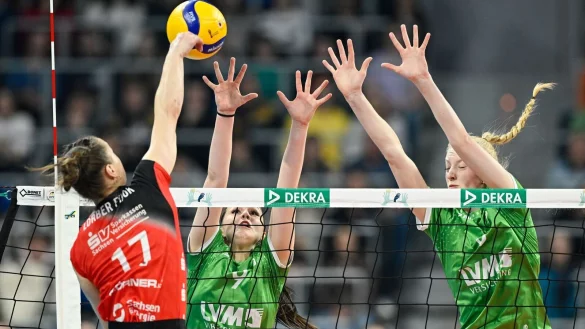 Münster war als Außenseiter ins Spiel gegangen. - © Uwe Anspach/dpa