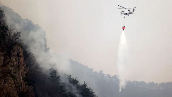 Es handelt sich um die größten Waldbrände in der Geschichte des Landes. - © Lee Moo-yeol/Newsis via AP)/dpa