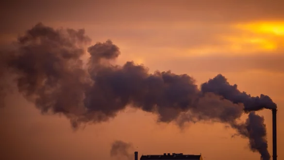 In Summe haben die 40 Dax-Unternehmen ihre Treibhausgas-Emissionen 2024 gesenkt. (Symbolbild) - © Jens Büttner/dpa