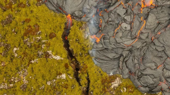 Lava trifft Mooslandschaft: Island erlebt einen erneuten Vulkanausbruch. - © Marco di Marco/AP/dpa