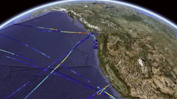 Verteilung der Phytoplankton-Biomasse, gemessen mit SeaFlow-Zytometrie vor der K&uuml;ste Kaliforniens. Die farbcodierten Linien stellen die Biomassekonzentrationen dar, wobei w&auml;rmere Farben (rot-gelb) eine h&ouml;here Phytoplanktondichte und k&uuml;hlere Farben (blau) eine geringere Konzentration anzeigen. - &copy; Francois Ribalet/dpa