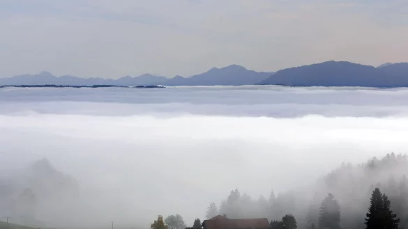 Die neue Realverfilmung von &laquo;Heidi&raquo; spielt in den Alpen. (Symbolbild) - &copy; Karl-Josef Hildenbrand/dpa