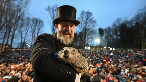 Punxsutawney Phil, das wettervorhersagende Murmeltier, hat sechs weitere Wochen Winterwetter vorausgesagt. - &copy; Barry Reeger/AP/dpa