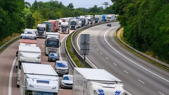 Laut Statistik haben die Grenzkontrollen bislang keine negativen Auswirkungen auf die Handelsbilanz. Doch sie kosten die Unternehmen Zeit und Geld. - &copy; Patrick Pleul/dpa