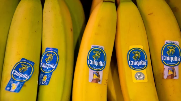 Bananen von Chiquita liegen in einem Supermarktregal in Bayern. (Archivbild) - © Sven Hoppe/dpa
