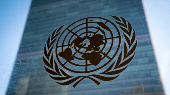 Bei den Verhandlungen zwischen den UN-Mitgliedsstaaten in New York geht es unter anderem um Gewinne und Ertr&auml;ge etwa durch Forschung an Lebewesen in der kaum erforschten Hochsee. Doch niemand wei&szlig;, ob diese jemals Realit&auml;t werden. - &copy; John Minchillo/AP/dpa