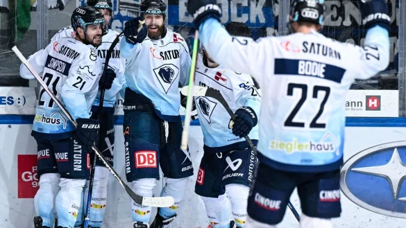 Die Profis vom ERC Ingolstadt wollen auch in Spiel vier der DEL-Finalserie jubeln. - &copy; Sven Hoppe/dpa