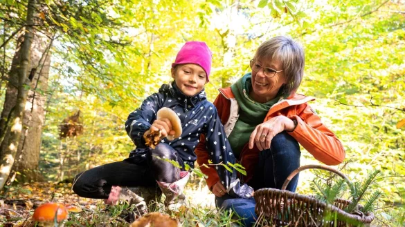In die Pilze gehen - das geh&ouml;rt f&uuml;r viele zum Herbst einfach dazu. Zum Beispiel, weil sie das aus Kindertagen kennen. - &copy; Benjamin Nolte/dpa-tmn
