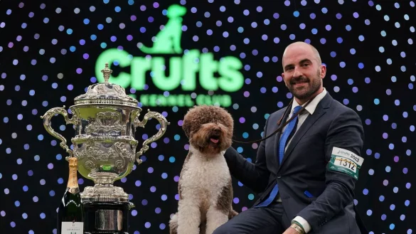 Haben den Hauptpreis gewonnen: Die H&uuml;ndin Orca und ihr Hundef&uuml;hrer Javier Gonzalez Mendikote. - &copy; Joe Giddens/PA/AP