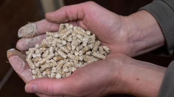 Pelletöfen und Pelletkessel gelten in der Regel als weniger belastend für die Umwelt als andere Holzverbrennung. - © Boris Roessler/dpa