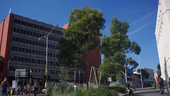 Blick auf die untersuchte Gr&uuml;nfl&auml;che in Melbourne. Einer Studie zufolge wurde dort ein siebenfacher Anstieg der Insektenarten binnen drei Jahren festgestellt. - &copy; Mata, Et al/EurekAlert/dpa