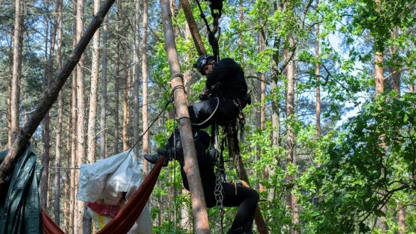 Ein Aktivist wird von einem Polizeibeamten aus einem Baumhaus in der Wuhlheide geholt. - &copy; Paul Zinken/dpa