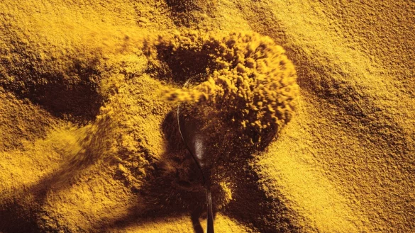 Das Proteinpulver Solein wird aus Luft, Mikroben und Solarenergie hergestellt. - &copy; Solar Foods/dpa