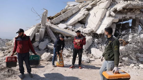 Durch die verheerenden Beben am 6. Februar in der T&uuml;rkei und Nordsyrien wurden auch etliche Tiere versch&uuml;ttet, verletzt und traumatisiert. In der Erdbebenregion haben sich seither provisorische Auffang- und Versorgungsstrukturen f&uuml;r die Tiere gebildet. - &copy; Anas Al-Kharboutli/