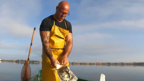Ein Fischer sch&uuml;ttet Blaukrabben in einen Eimer. Die fremde Art taucht in Italien immer h&auml;ufiger auf. - &copy; Luigi Navarra/AP