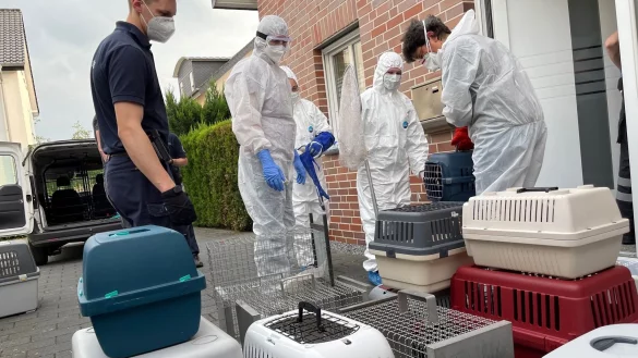 Einsatzkr&auml;fte tragen Boxen mit Katzen aus einem Haus. Von den 50 bis 60 Tieren in teils schlechtem Zustand, die in dem Haus gefunden wurden, seien einige bereits tot gewesen, teilte die Polizei am Sonntag mit. Die Hintergr&uuml;nde des Falls sind demnach noch unklar, die Katzenhalter wurden nach Angaben der Polizei noch nicht angetroffen. - &copy; Christian M&uuml;ller/Redaktion Westfalennews/dpa