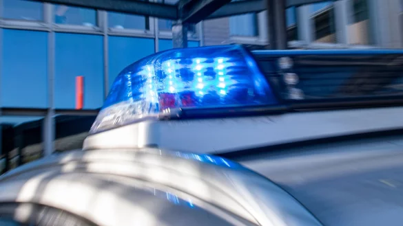 Ein Blaulicht leuchtet auf dem Dach eines Polizeiwagens. - &copy; David Inderlied/dpa/Symbolbild
