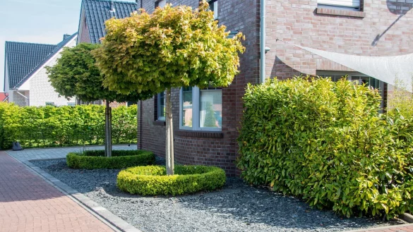 Aus so einem Schottergarten kann mit ein paar wenigen Arbeitsschritten wieder ein insektenfreundliches Kleinod werden. - &copy; Lennart Stock/dpa/dpa-tmn