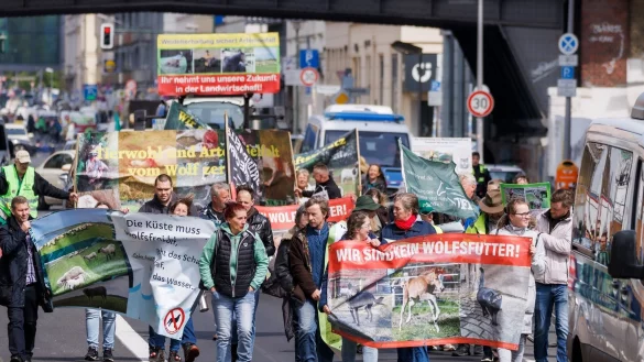 Deutsche Weidetierhalter protestieren gegen den Umgang mit W&ouml;lfen in der Viehwirtschaft in Deutschland. - &copy; Carsten Koall/dpa