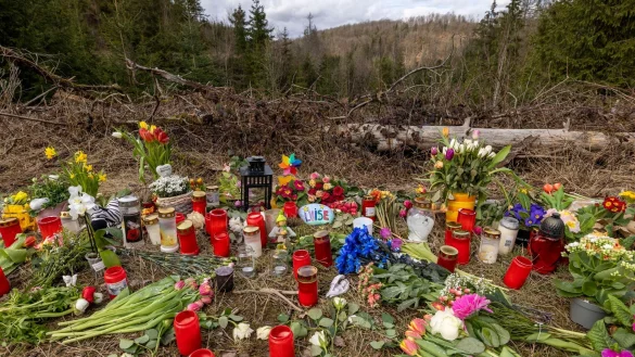 Kerzen, Blumen und Kuscheltiere liegen an der Stelle im Wald. - &copy; Christoph Reichwein/dpa/Archivbild