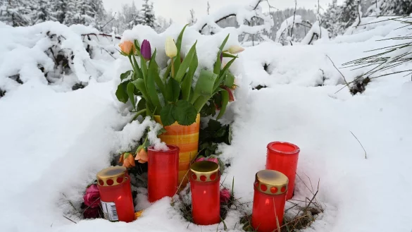 Unbekannte haben am Fundort des ermordeten zwölfjährigen Mädchens Luise Blumen aufgestellt. - © Roberto Pfeil/dpa