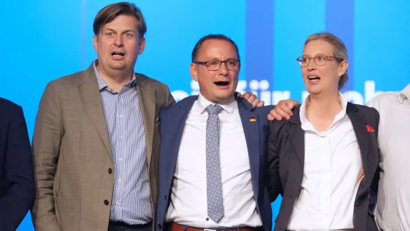 Maximilian Krah, Tino Chrupalla und Alice Weidel von der AfD. - © Sebastian Willnow/dpa